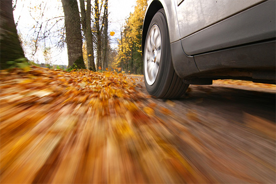 Mantenimiento Coche Otono QUADIS