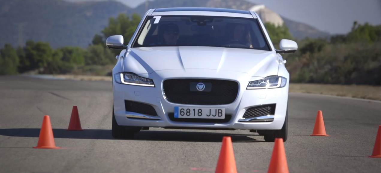 Jaguar Circuito Calafat