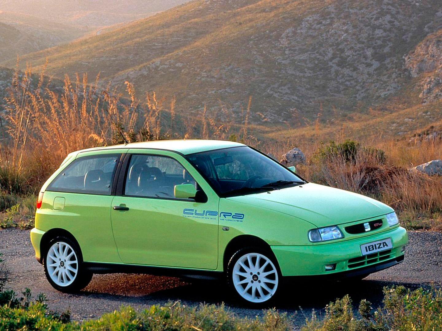 Mejores GTI Seat Ibiza GTI 16V Cupra