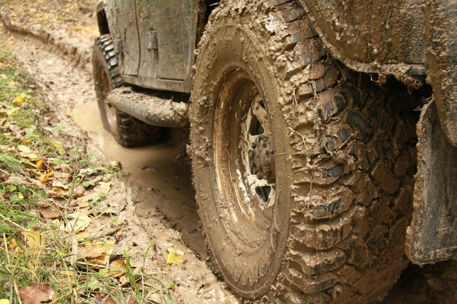 Jeep Willys QUADIS